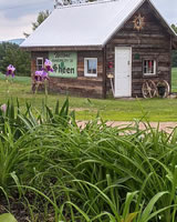 Photo of the sled shed in summer